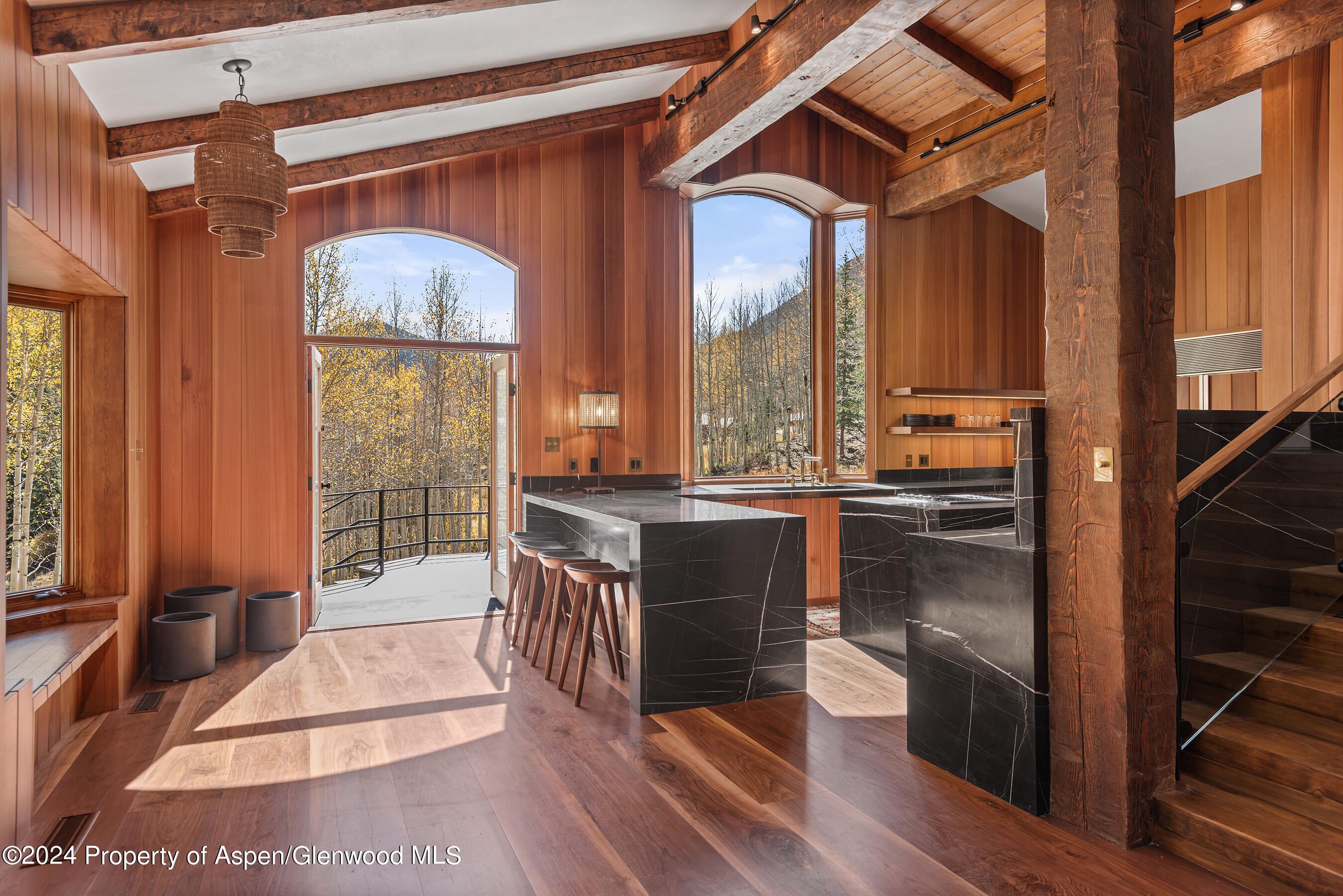 9888 Castle Creek Road Aspen, CO 81612 - Photo 19 of 51 9888CastleCreek_DASH23101045