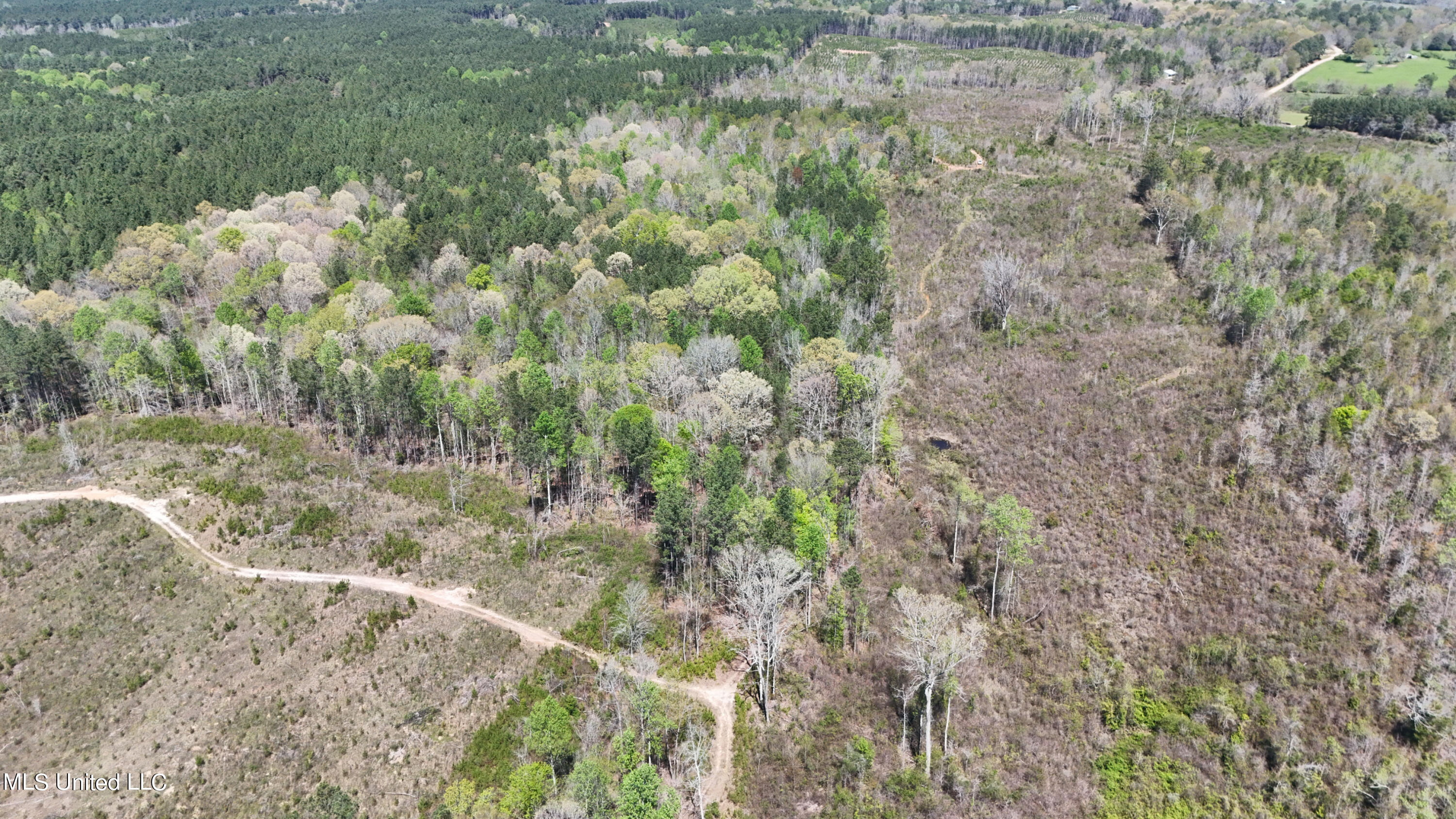 0 Hugh Hudnall Road Decatur, MS 39327 - Photo 11 of 21 DJI_20240330121921_0150_D