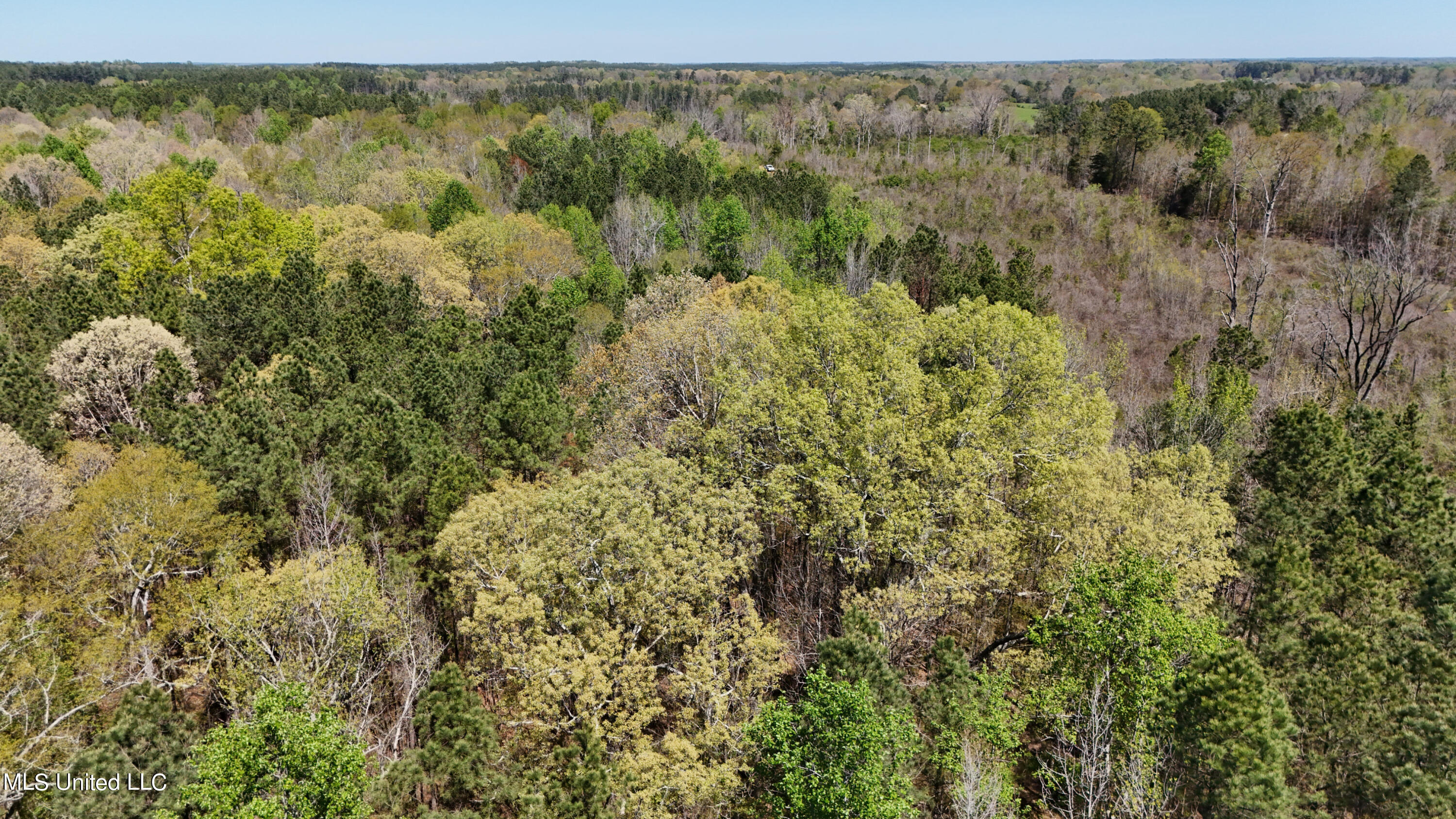 0 Hugh Hudnall Road Decatur, MS 39327 - Photo 13 of 21 DJI_20240330122007_0152_D
