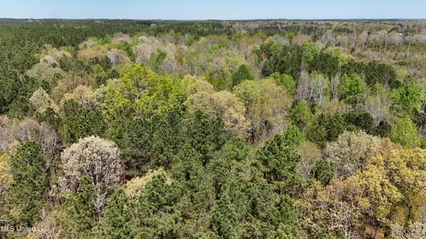 $69,000 | 0 Hugh Hudnall Road, Decatur, MS 39327
