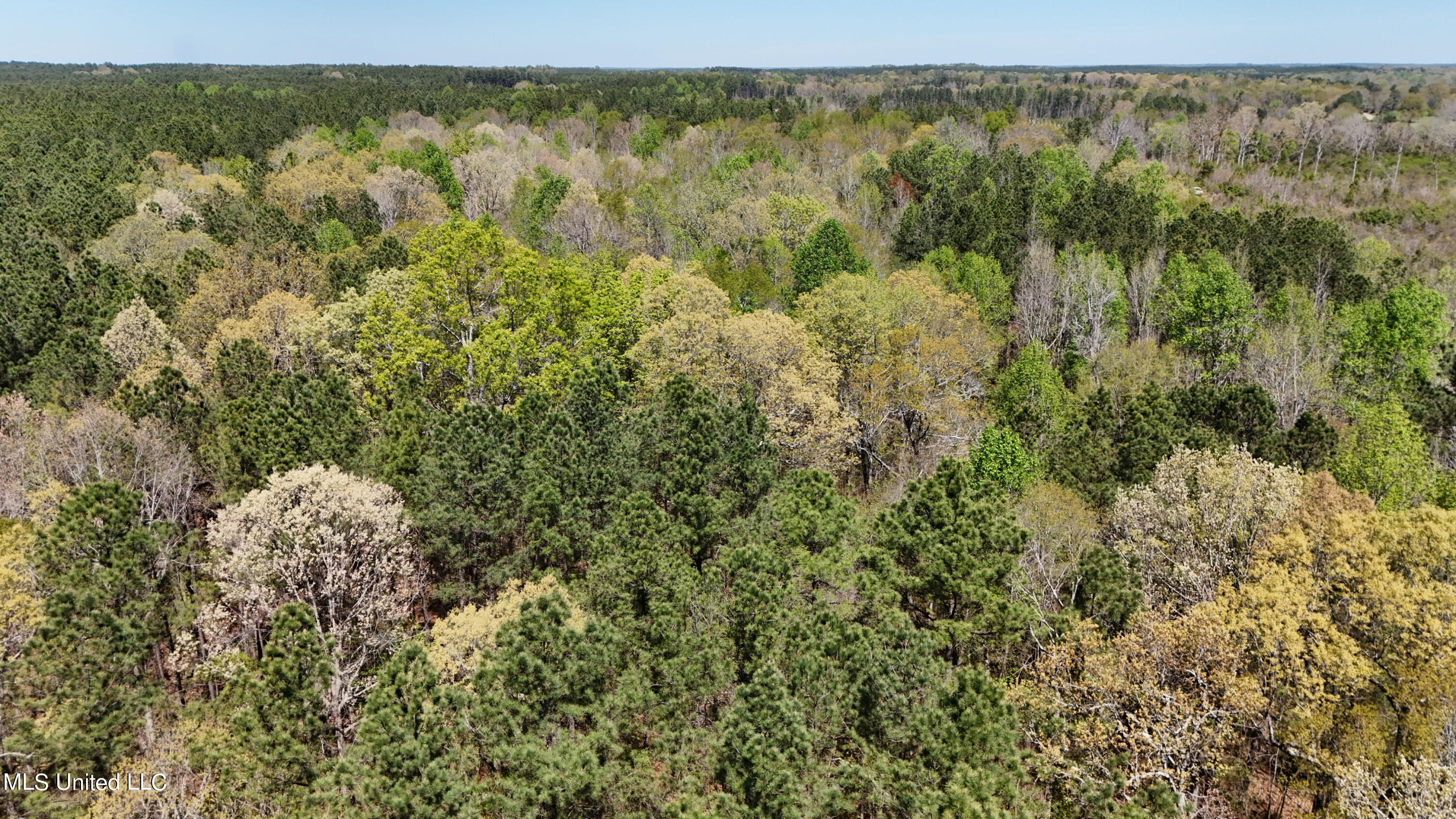 0 Hugh Hudnall Road Decatur, MS 39327 - Photo 14 of 21 DJI_20240330122015_0153_D