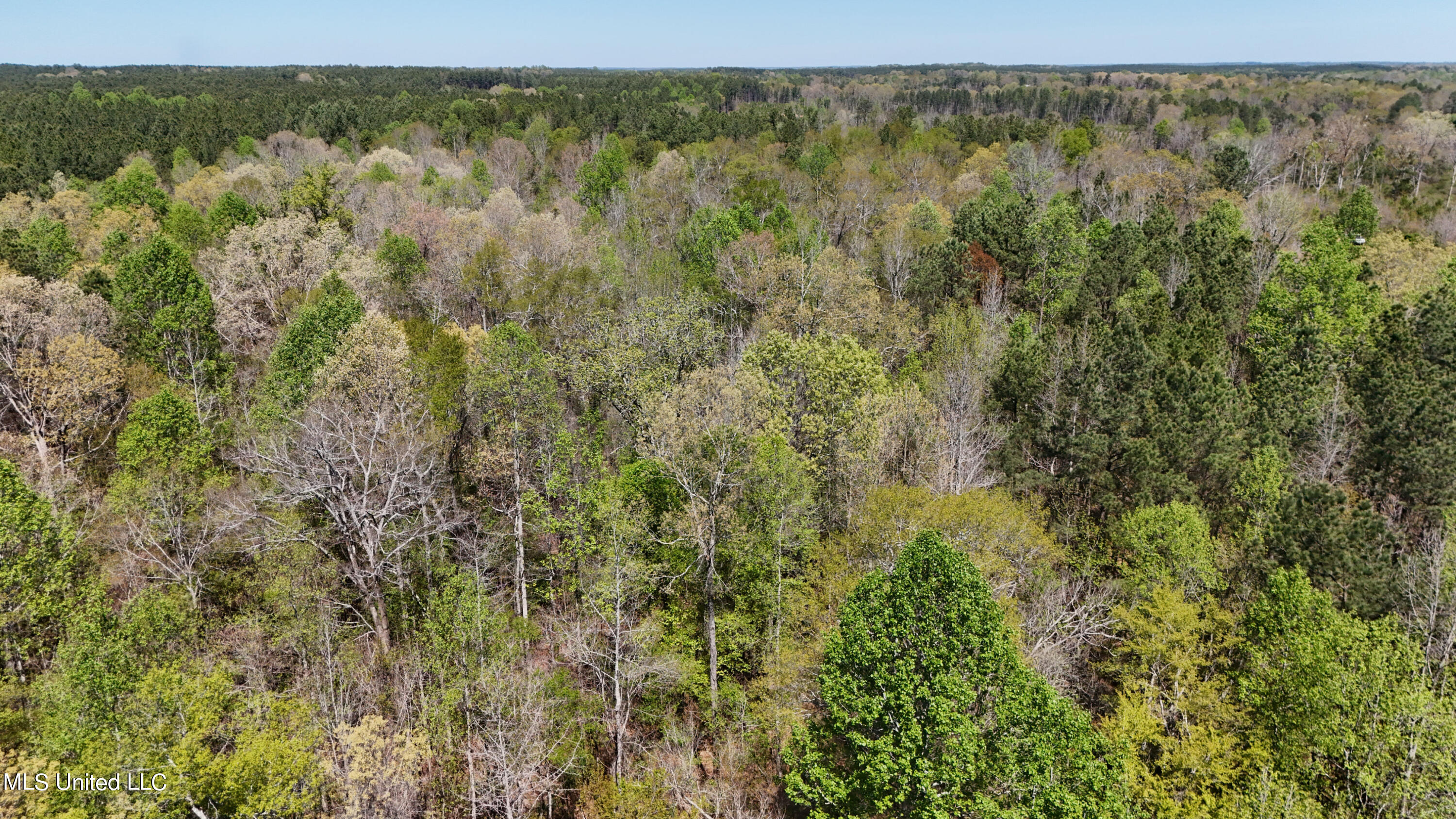 0 Hugh Hudnall Road Decatur, MS 39327 - Photo 15 of 21 DJI_20240330122026_0154_D