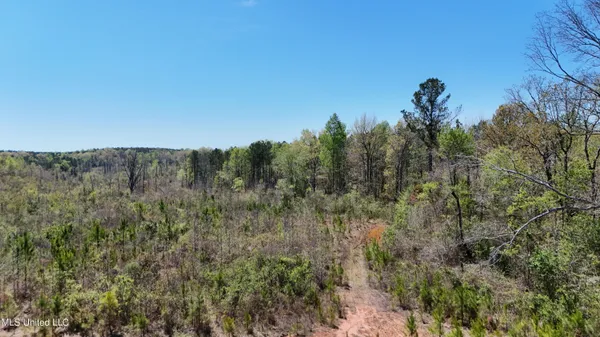 $69,000 | 0 Hugh Hudnall Road, Decatur, MS 39327