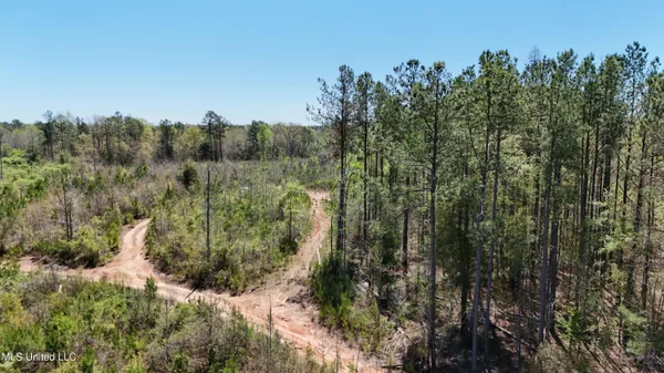 $69,000 | 0 Hugh Hudnall Road, Decatur, MS 39327