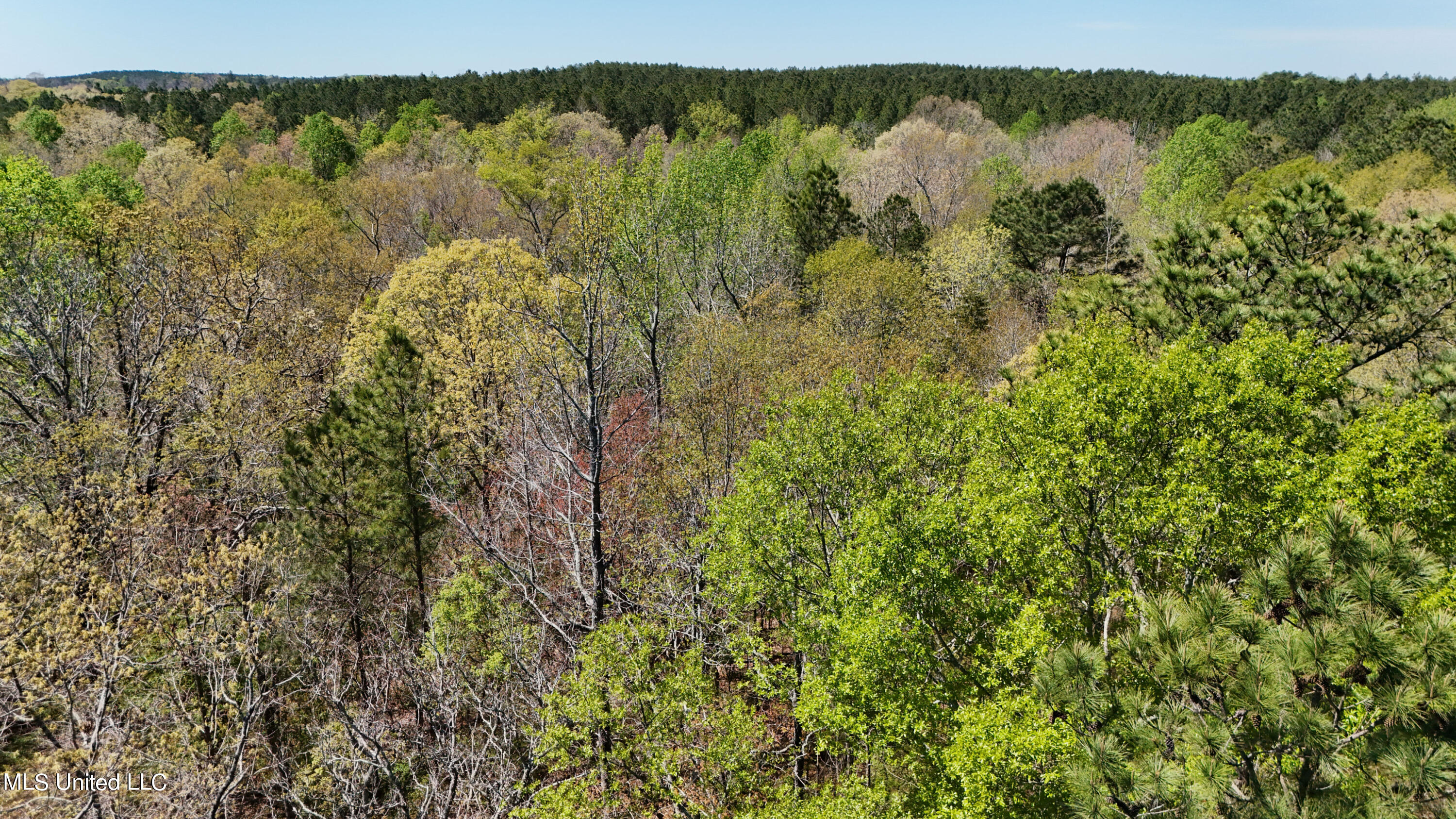 0 Hugh Hudnall Road Decatur, MS 39327 - Photo 19 of 21 DJI_20240330122254_0158_D