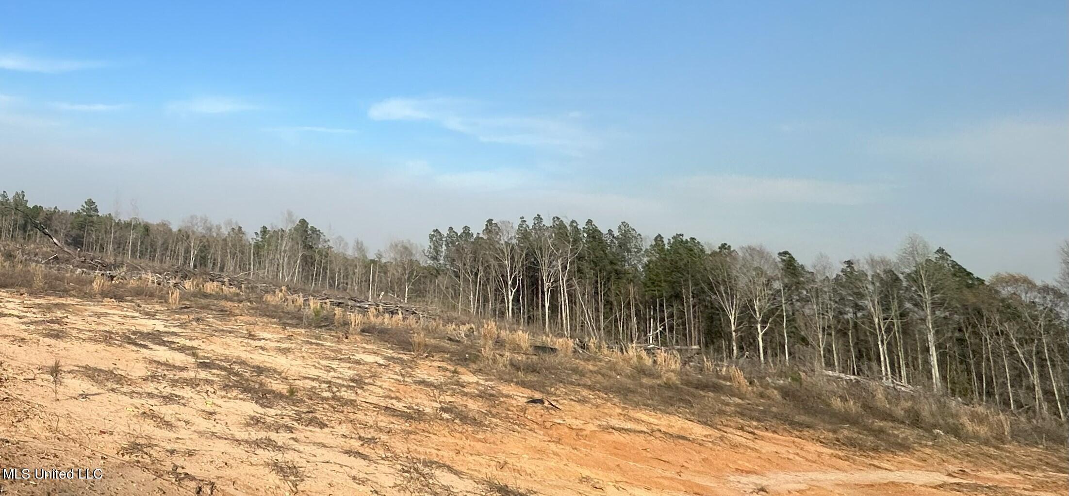 0 Hugh Hudnall Road Decatur, MS 39327 - Photo 20 of 21 View of property from Popular Road