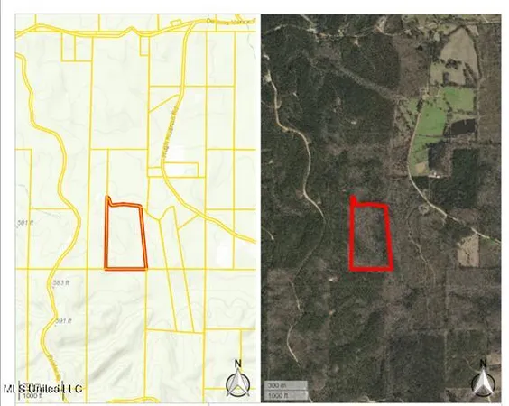 $69,000 | 0 Hugh Hudnall Road, Decatur, MS 39327