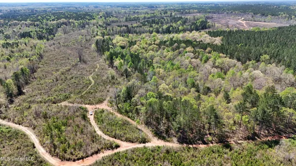 $69,000 | 0 Hugh Hudnall Road, Decatur, MS 39327