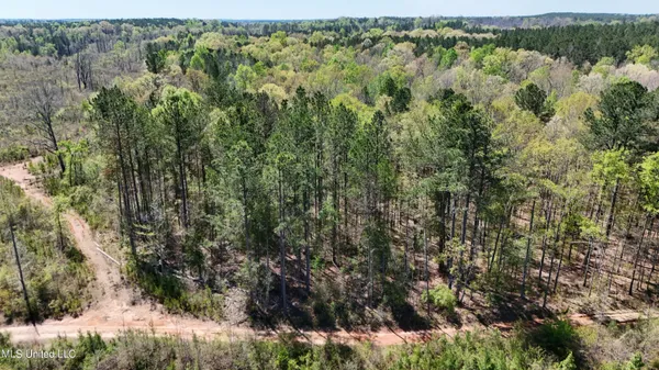 $69,000 | 0 Hugh Hudnall Road, Decatur, MS 39327