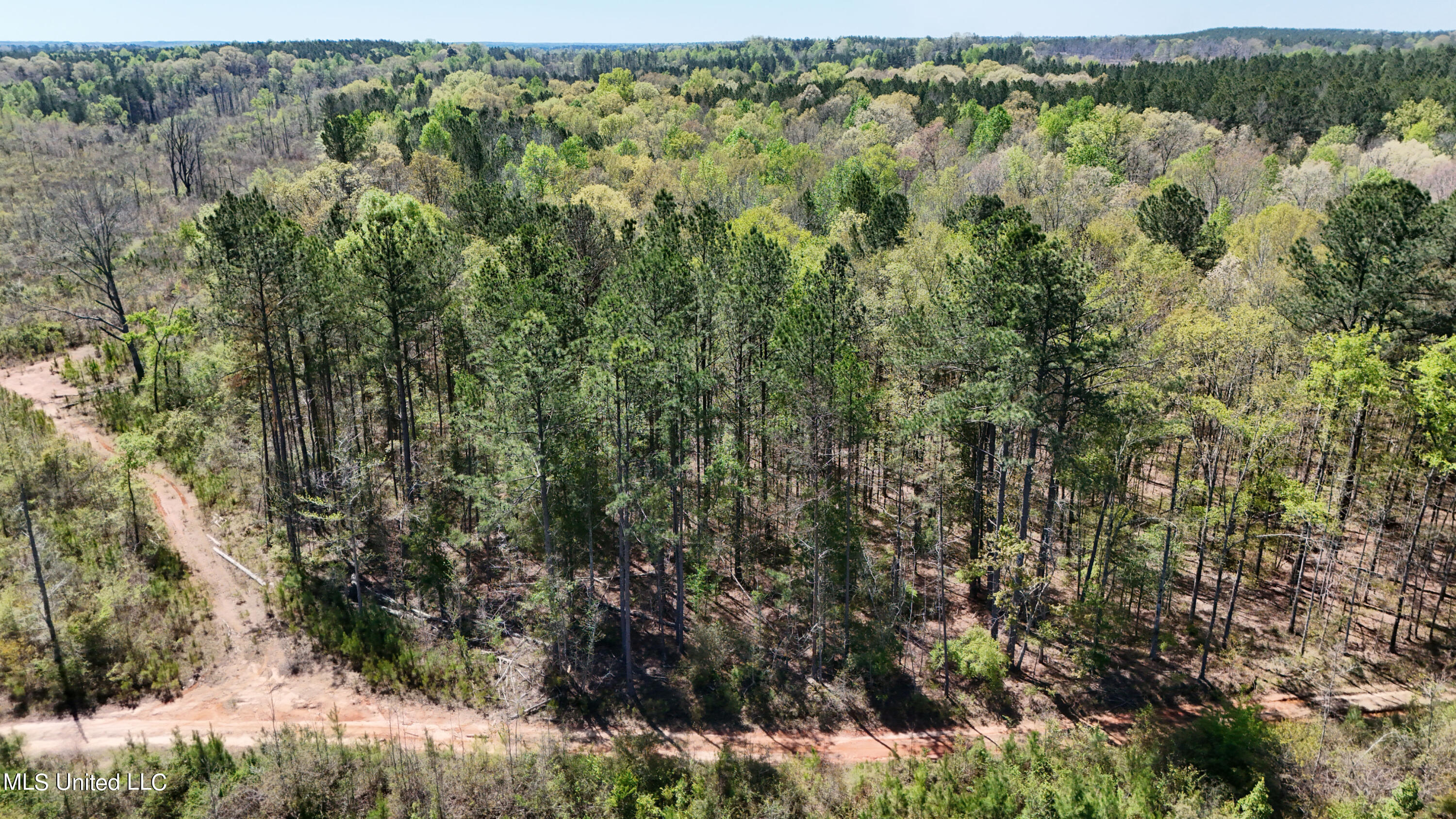 0 Hugh Hudnall Road Decatur, MS 39327 - Photo 4 of 21 DJI_20240330121401_0142_D