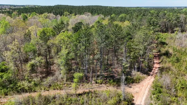 $69,000 | 0 Hugh Hudnall Road, Decatur, MS 39327