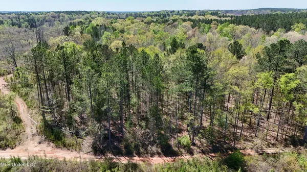 $69,000 | 0 Hugh Hudnall Road, Decatur, MS 39327