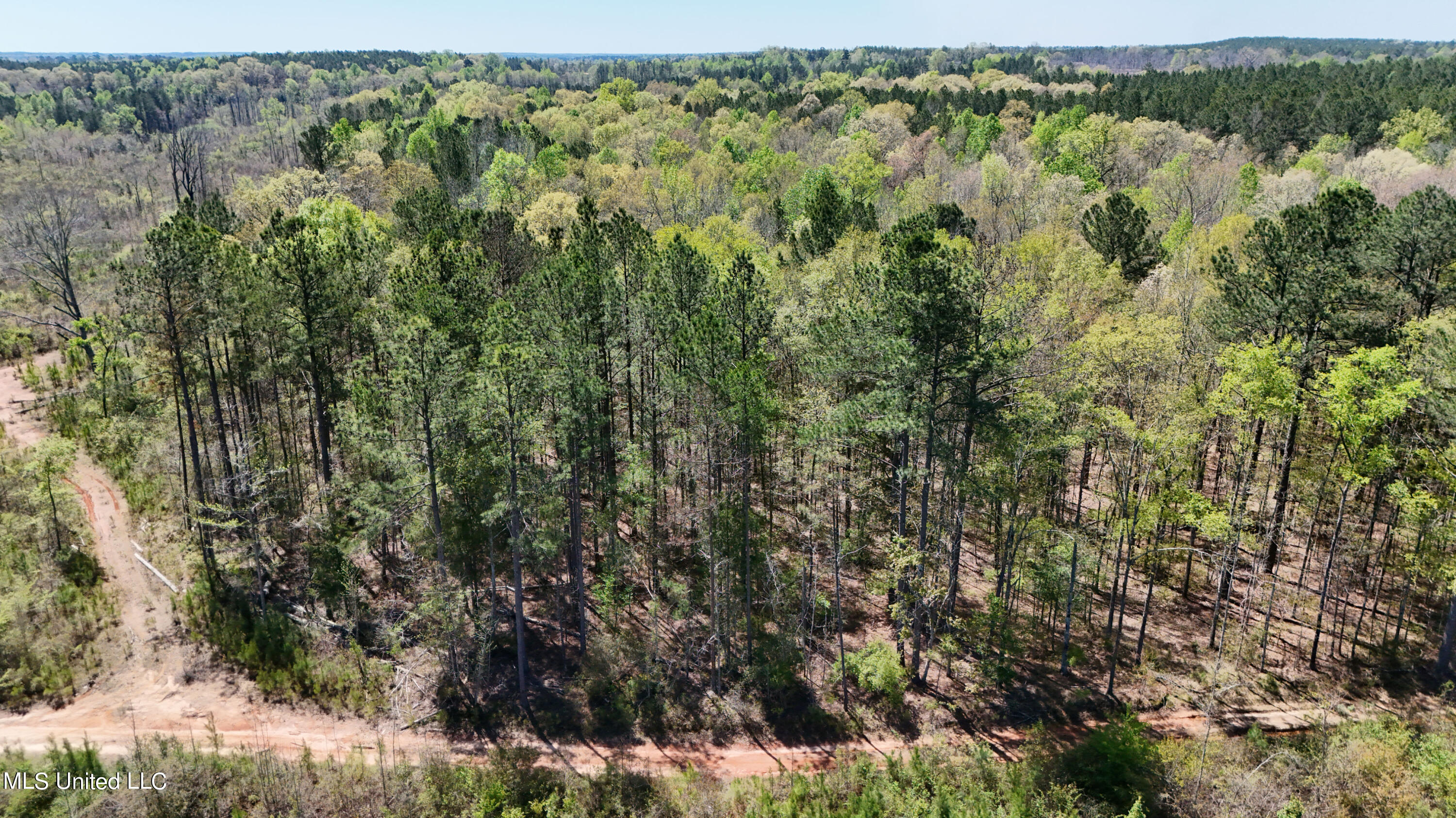 0 Hugh Hudnall Road Decatur, MS 39327 - Photo 6 of 21 DJI_20240330121425_0143_D