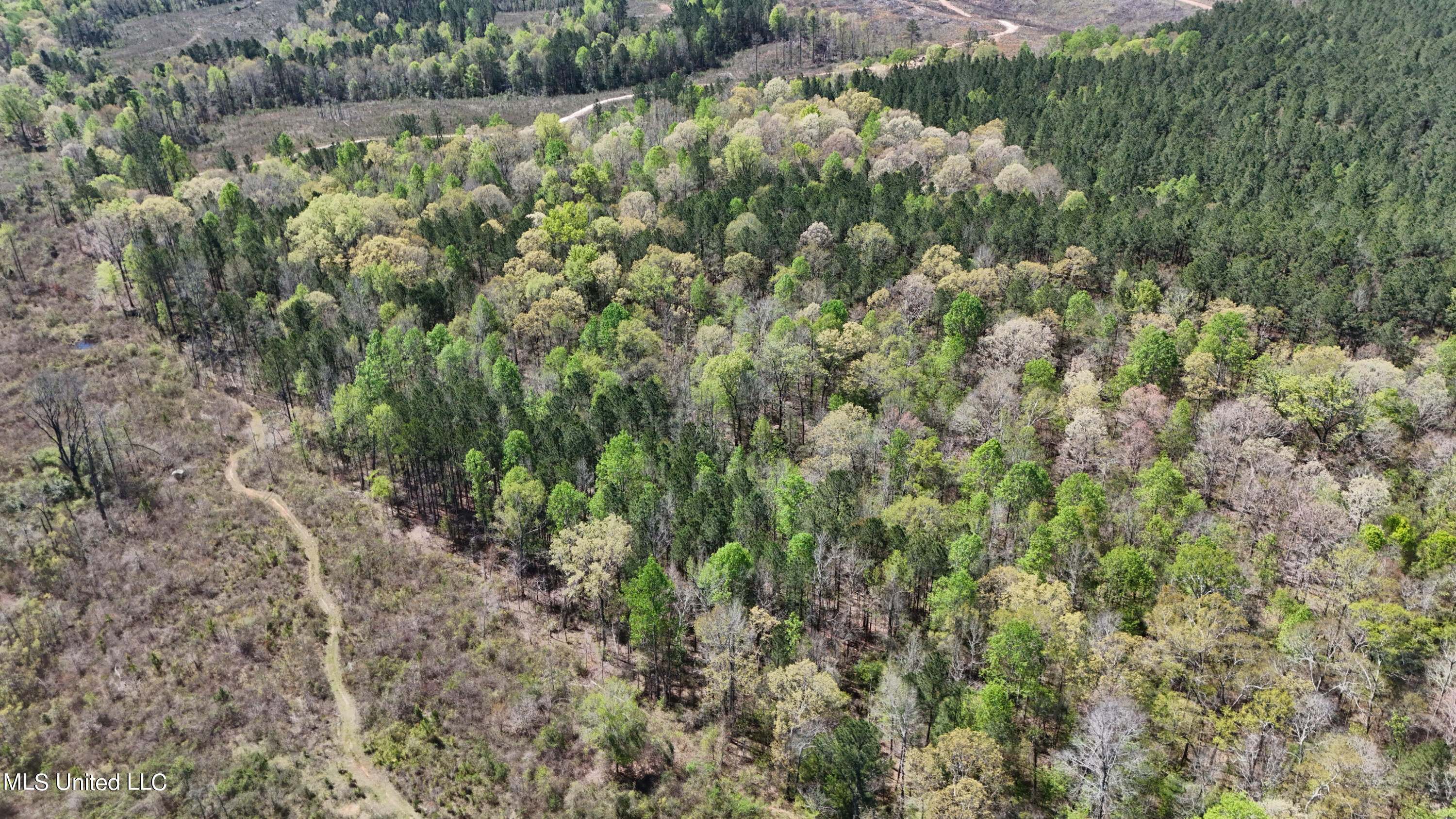 0 Hugh Hudnall Road Decatur, MS 39327 - Photo 8 of 21 DJI_20240330121613_0147_D