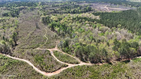 $69,000 | 0 Hugh Hudnall Road, Decatur, MS 39327