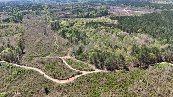 $69,000 | 0 Hugh Hudnall Road, Decatur, MS 39327