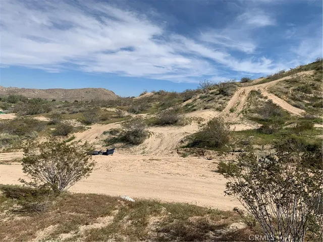 a view of a dry yard