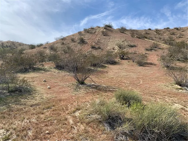 a view of a dry field