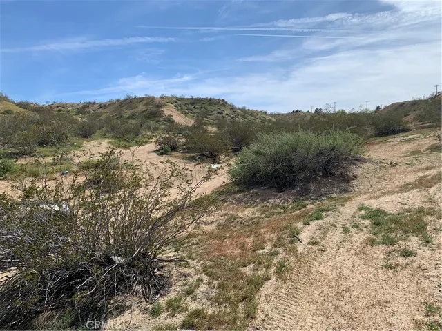 a view of a dry yard with mountains in the background