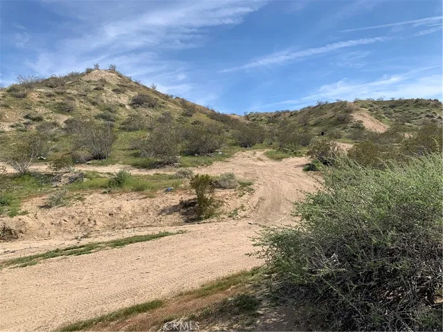 a view of a dry yard with wooden fence
