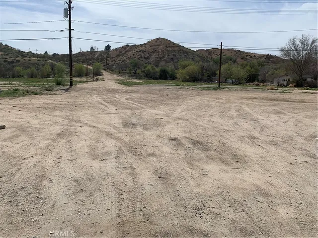 a view of a dry yard with lots of bushes