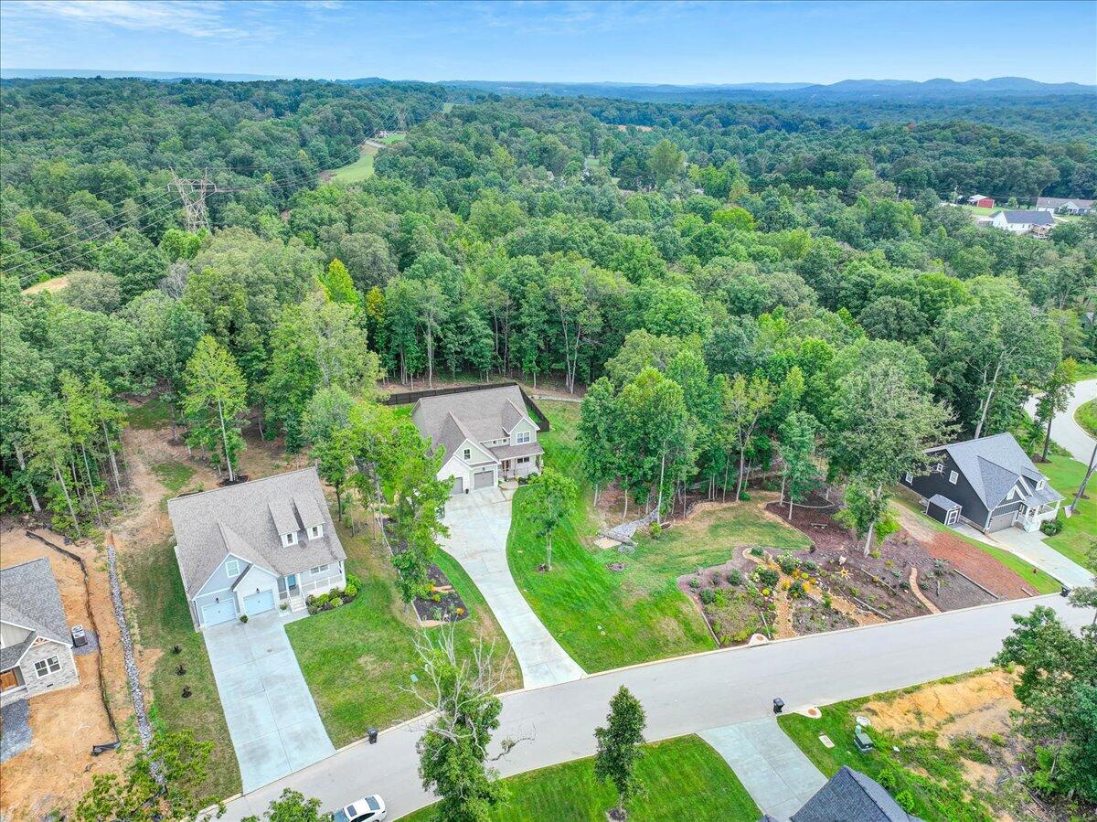 11785 Maddox Drive Georgetown, TN 37336 - Photo 50 of 61 Overhead View 2