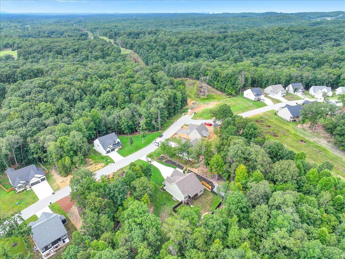 11785 Maddox Drive Georgetown, TN 37336 - Photo 51 of 61 Overhead View 3