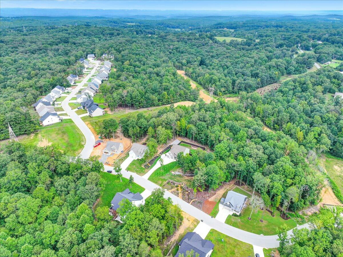 11785 Maddox Drive Georgetown, TN 37336 - Photo 53 of 61 Overhead View 5