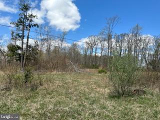 Cherry Ridge Rd Mount Mount Storm, WV 26739 - Photo 4 of 8