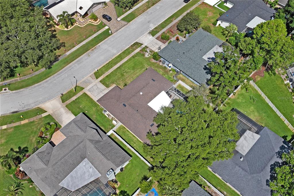 3133 Sandy Ridge Drive Clearwater, FL 33761 - Photo 48 of 52