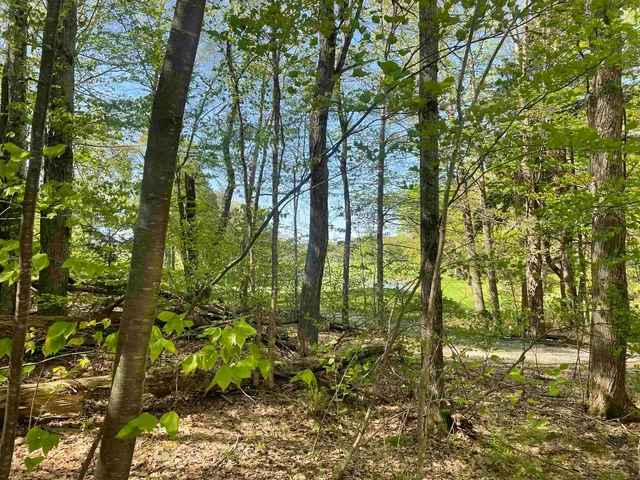 $168,000 | 530 Finbars Forest Road, Manchester, VT 05255