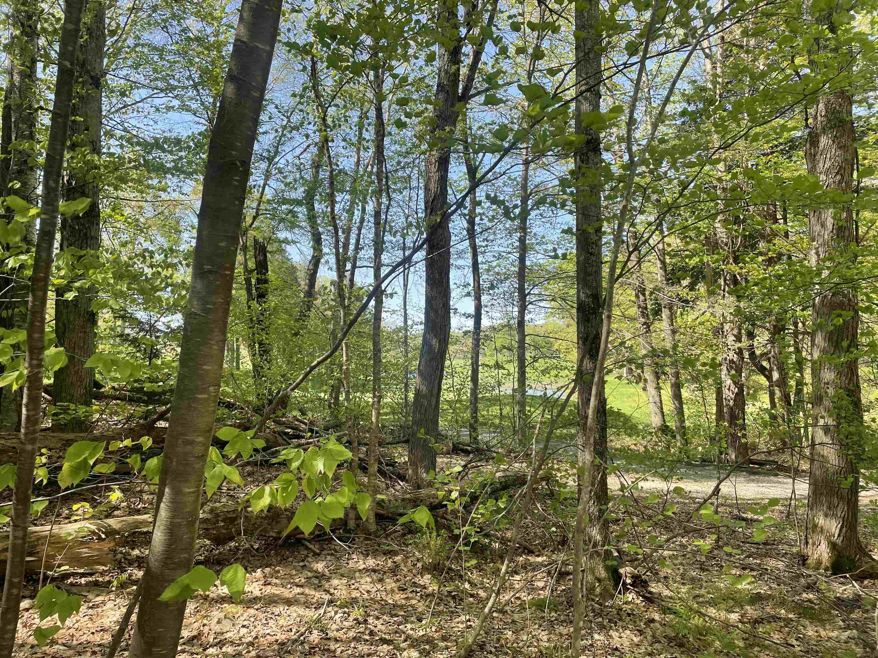 530 Finbars Forest Road Manchester, VT 05255 - Photo 11 of 15