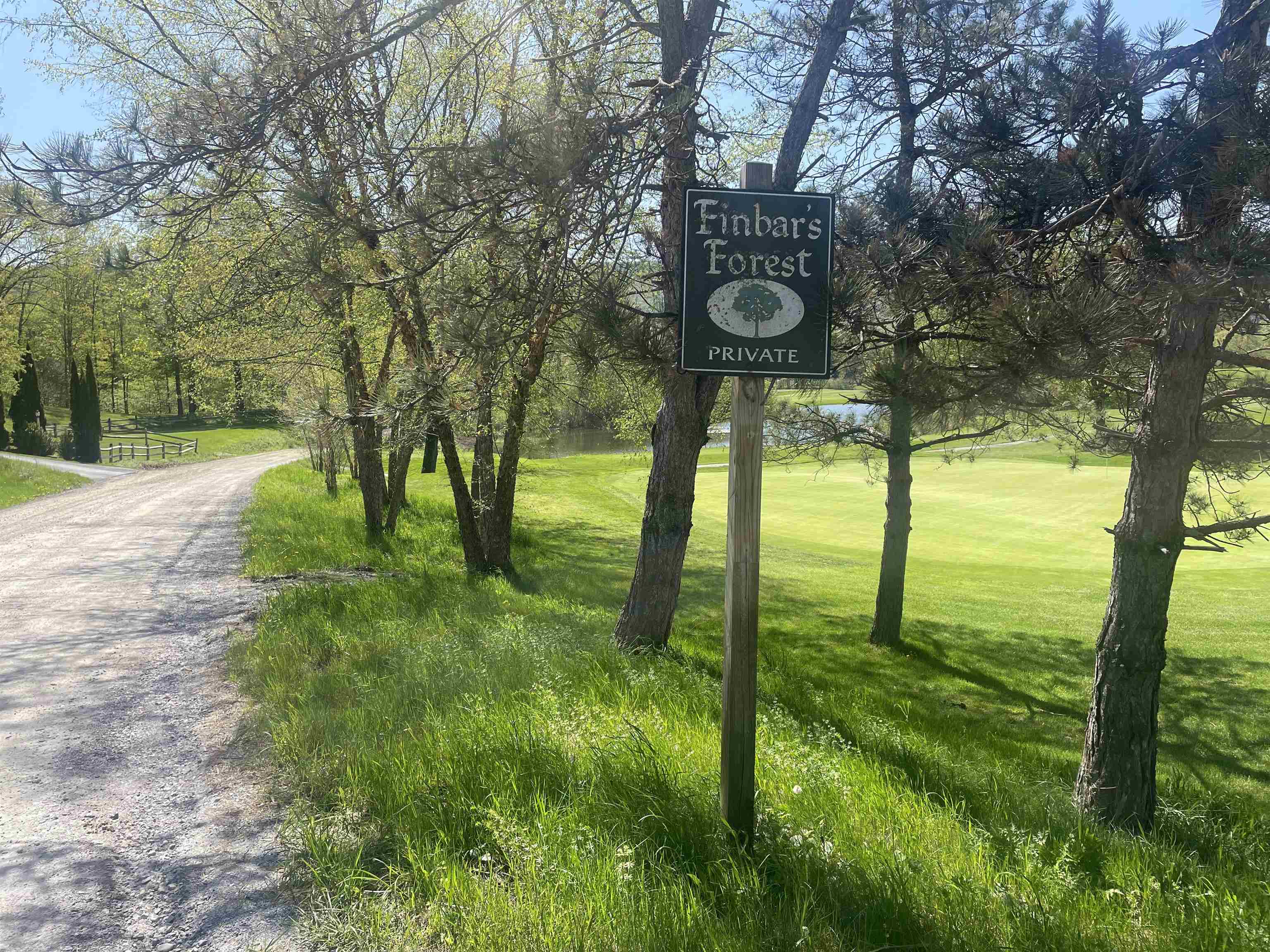 530 Finbars Forest Road Manchester, VT 05255 - Photo 13 of 15