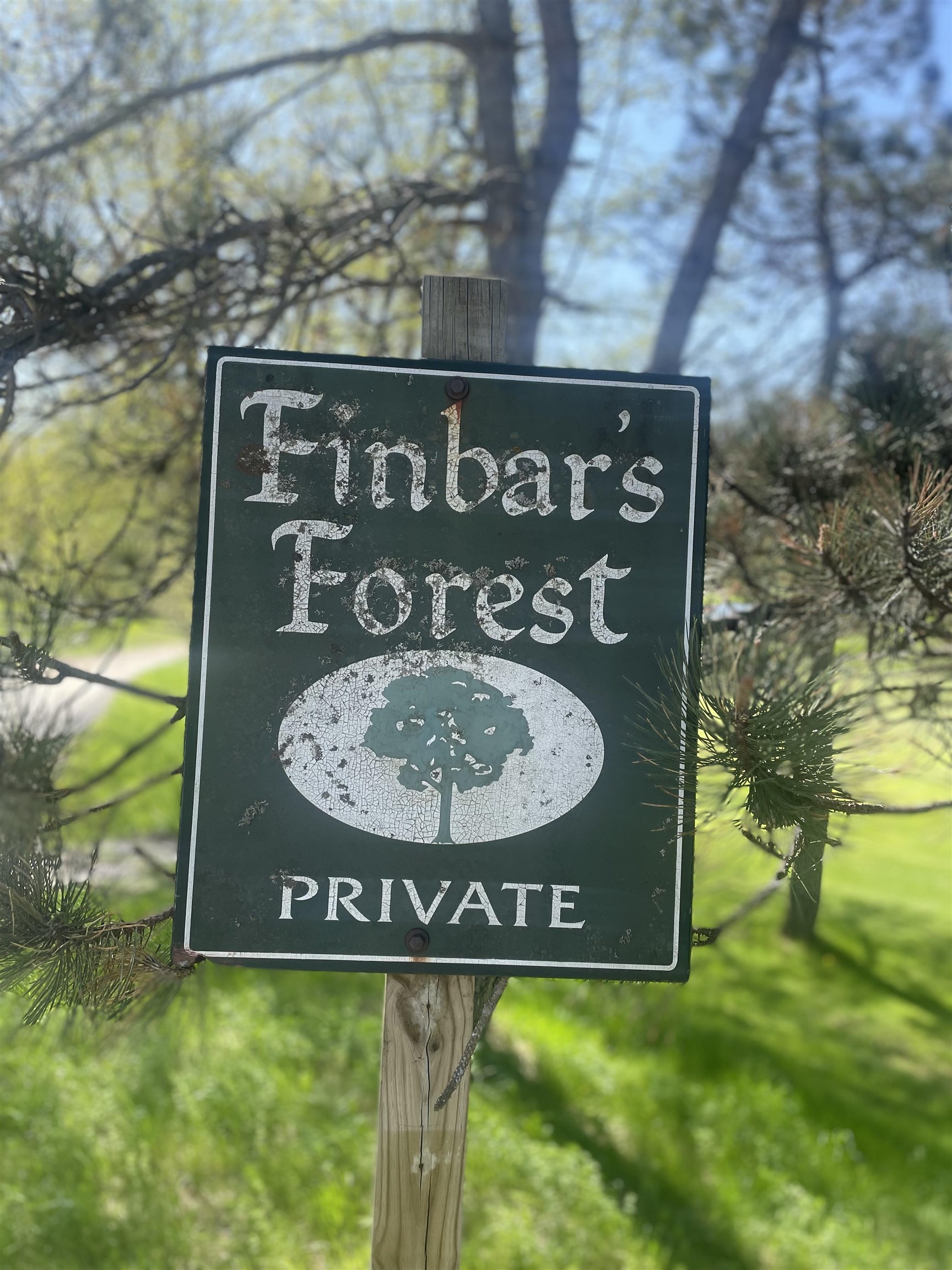 530 Finbars Forest Road Manchester, VT 05255 - Photo 15 of 15