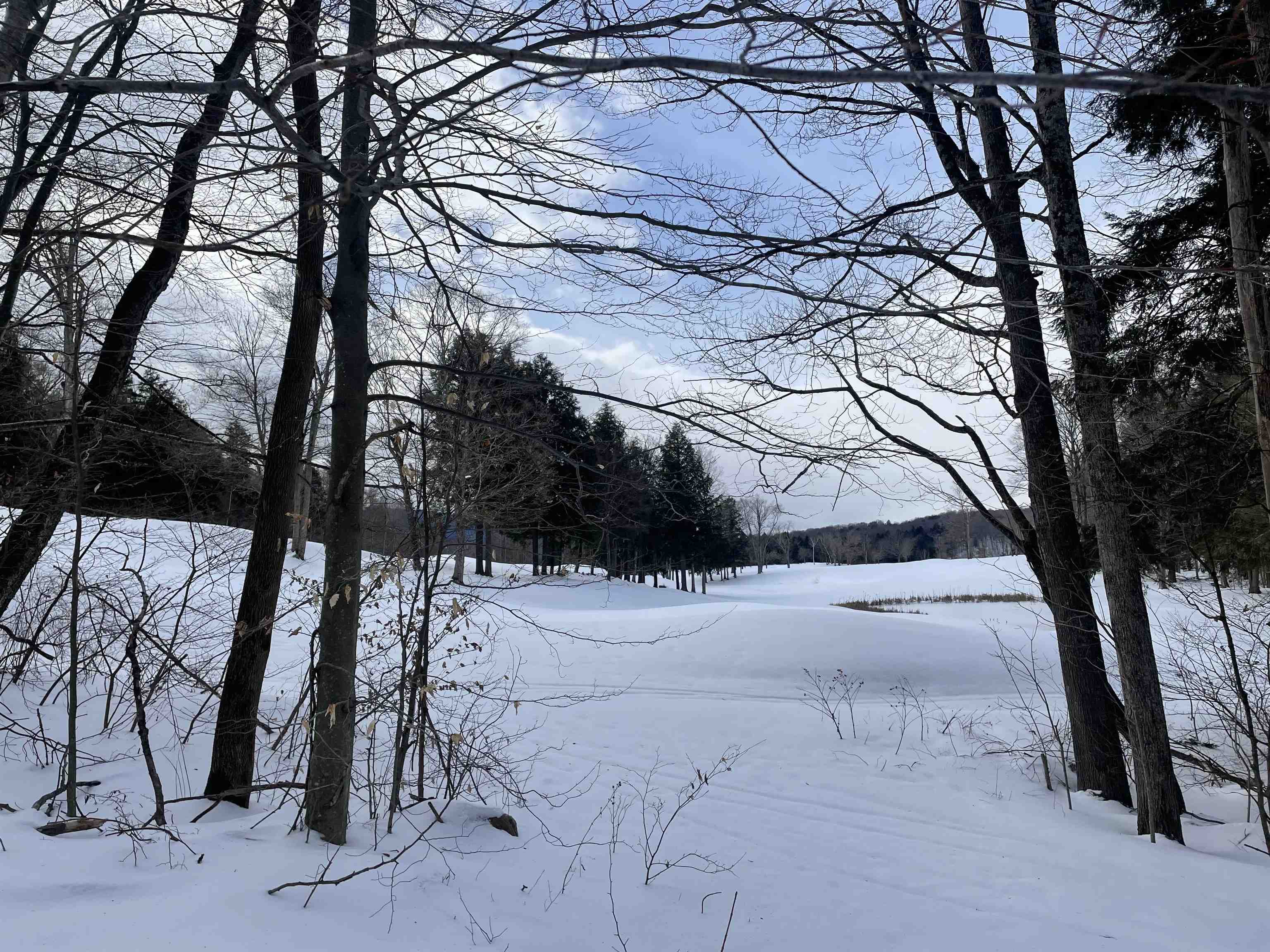 530 Finbars Forest Road Manchester, VT 05255 - Photo 2 of 15