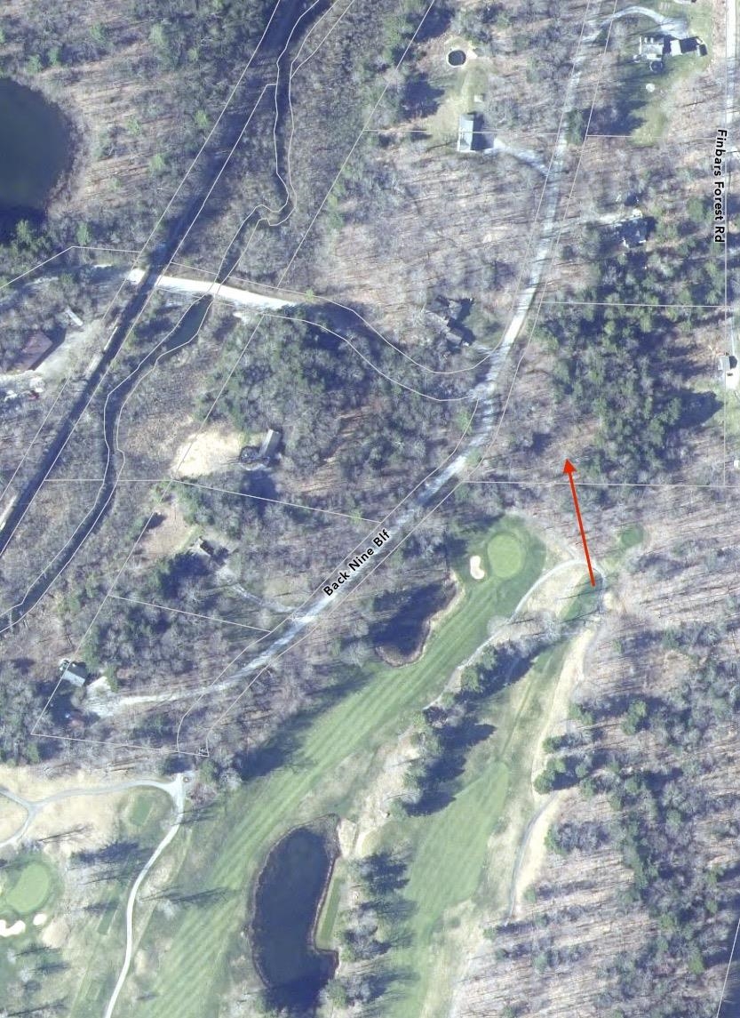 530 Finbars Forest Road Manchester, VT 05255 - Photo 3 of 15