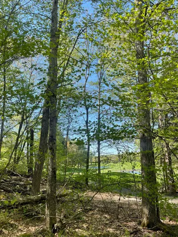 $168,000 | 530 Finbars Forest Road, Manchester, VT 05255