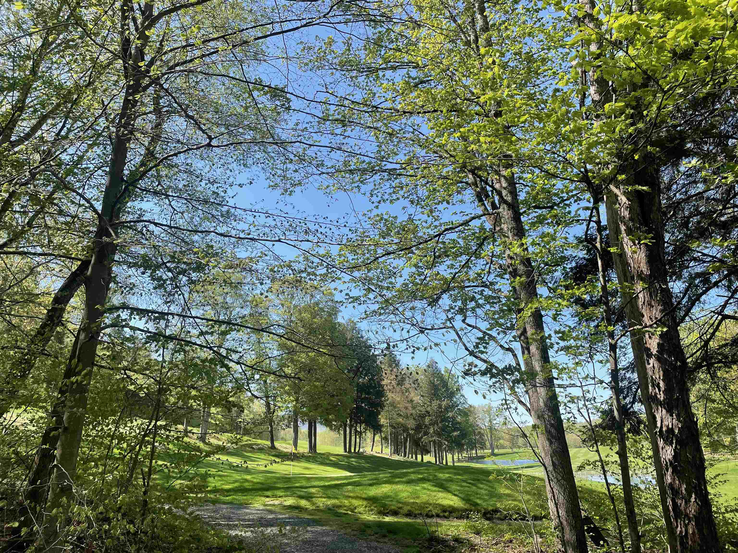 530 Finbars Forest Road Manchester, VT 05255 - Photo 4 of 15