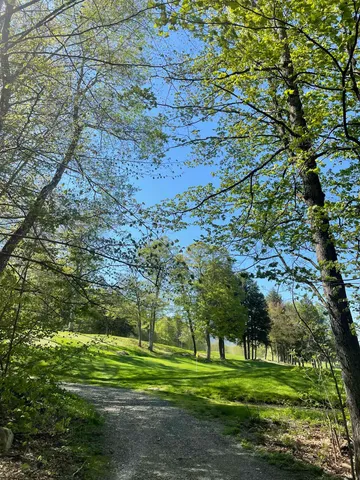 $168,000 | 530 Finbars Forest Road, Manchester, VT 05255