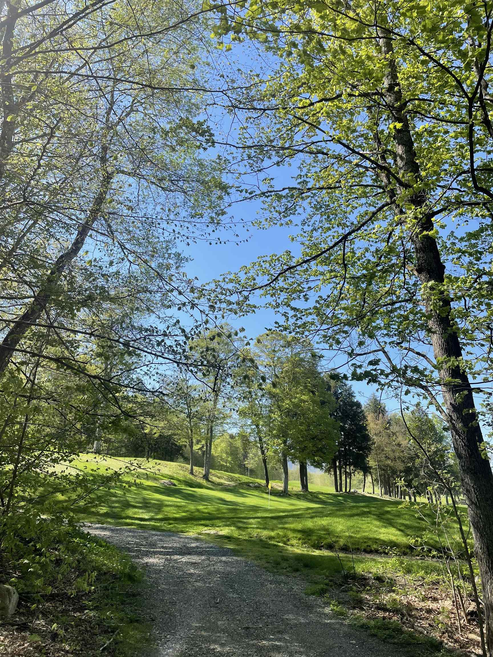 530 Finbars Forest Road Manchester, VT 05255 - Photo 7 of 15