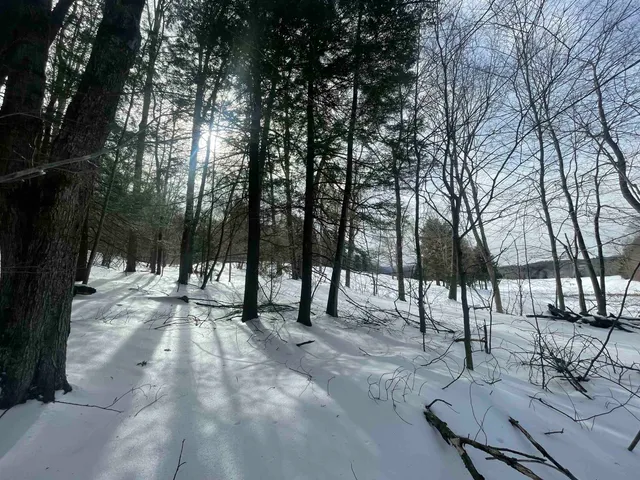 $168,000 | 530 Finbars Forest Road, Manchester, VT 05255
