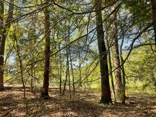 $168,000 | 530 Finbars Forest Road, Manchester, VT 05255