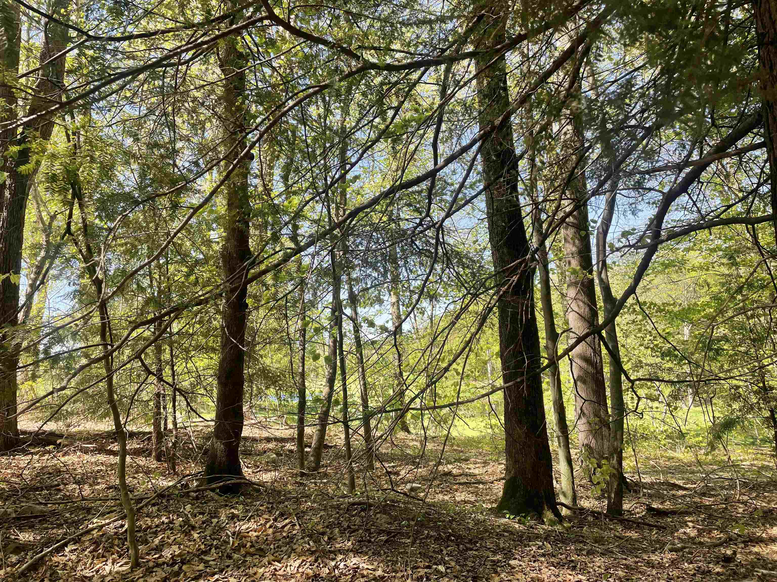 530 Finbars Forest Road Manchester, VT 05255 - Photo 10 of 15