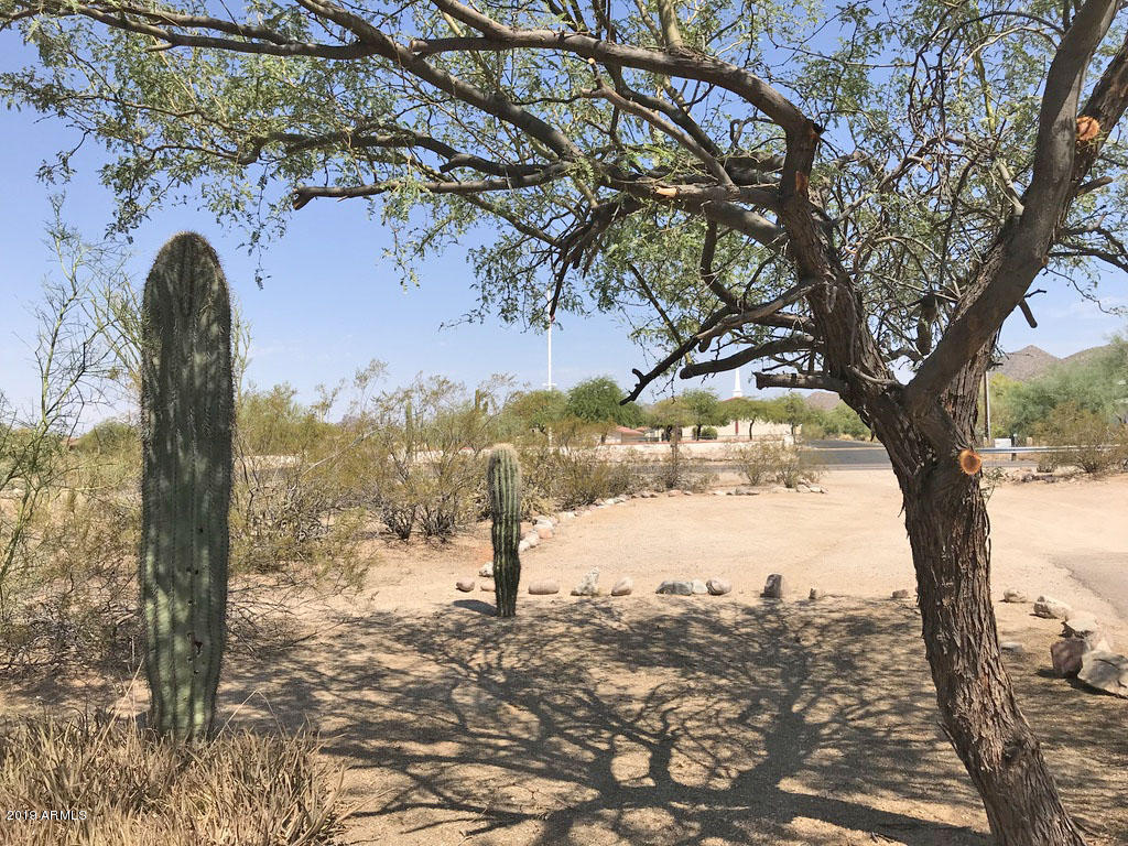 8317 East McDowell Road Mesa, AZ 85207 - Photo 21 of 24 Front Yard