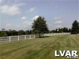 895 Gove Road Nazareth, PA 18064 - Photo 15 of 66 Lush Lawn in Summer. Trees fill in to create comp