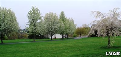 895 Gove Road Nazareth, PA 18064 - Photo 4 of 66 a view of a garden with trees