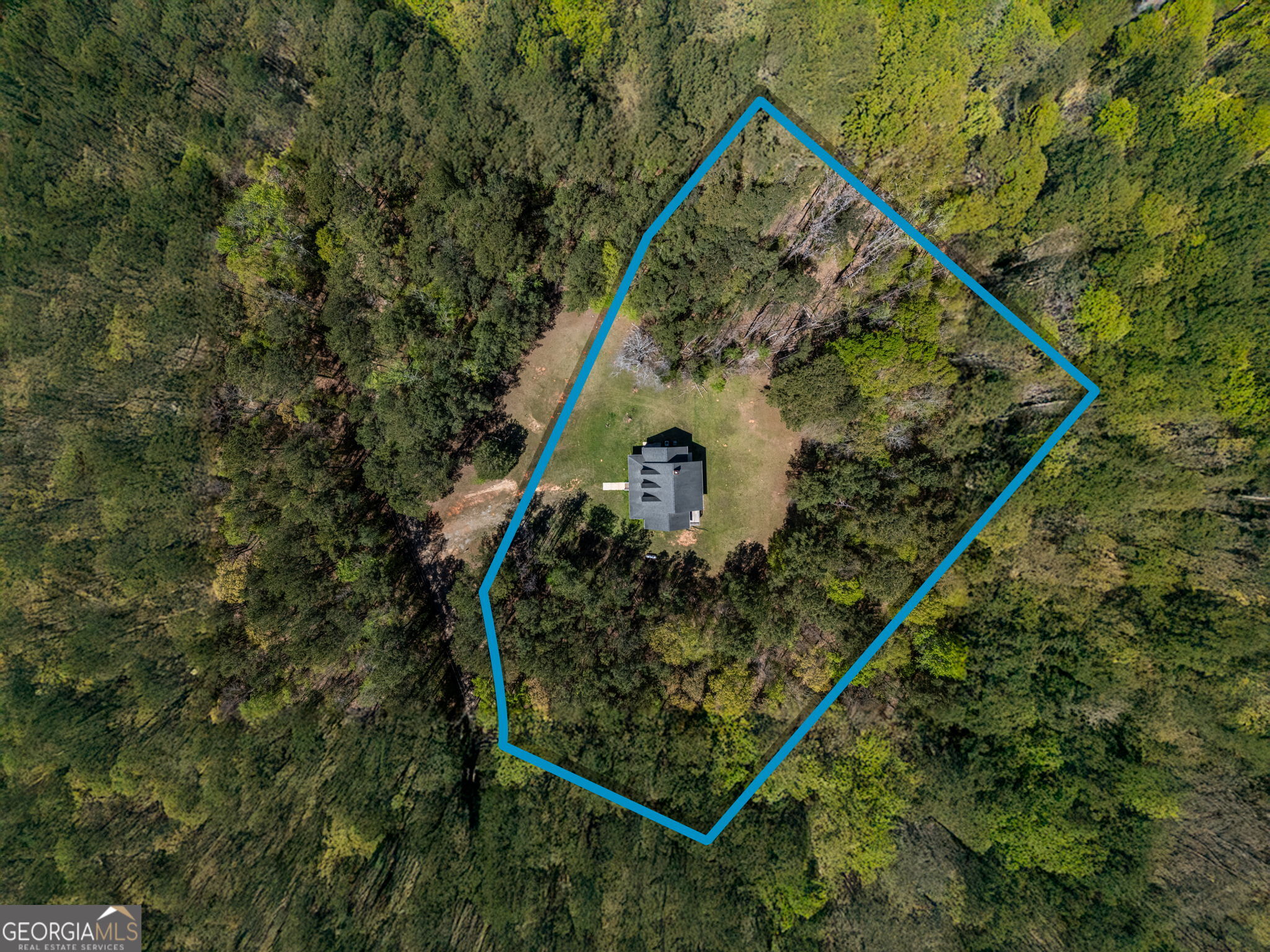 1603 Highway 16 Jackson, GA 30233 - Photo 44 of 54