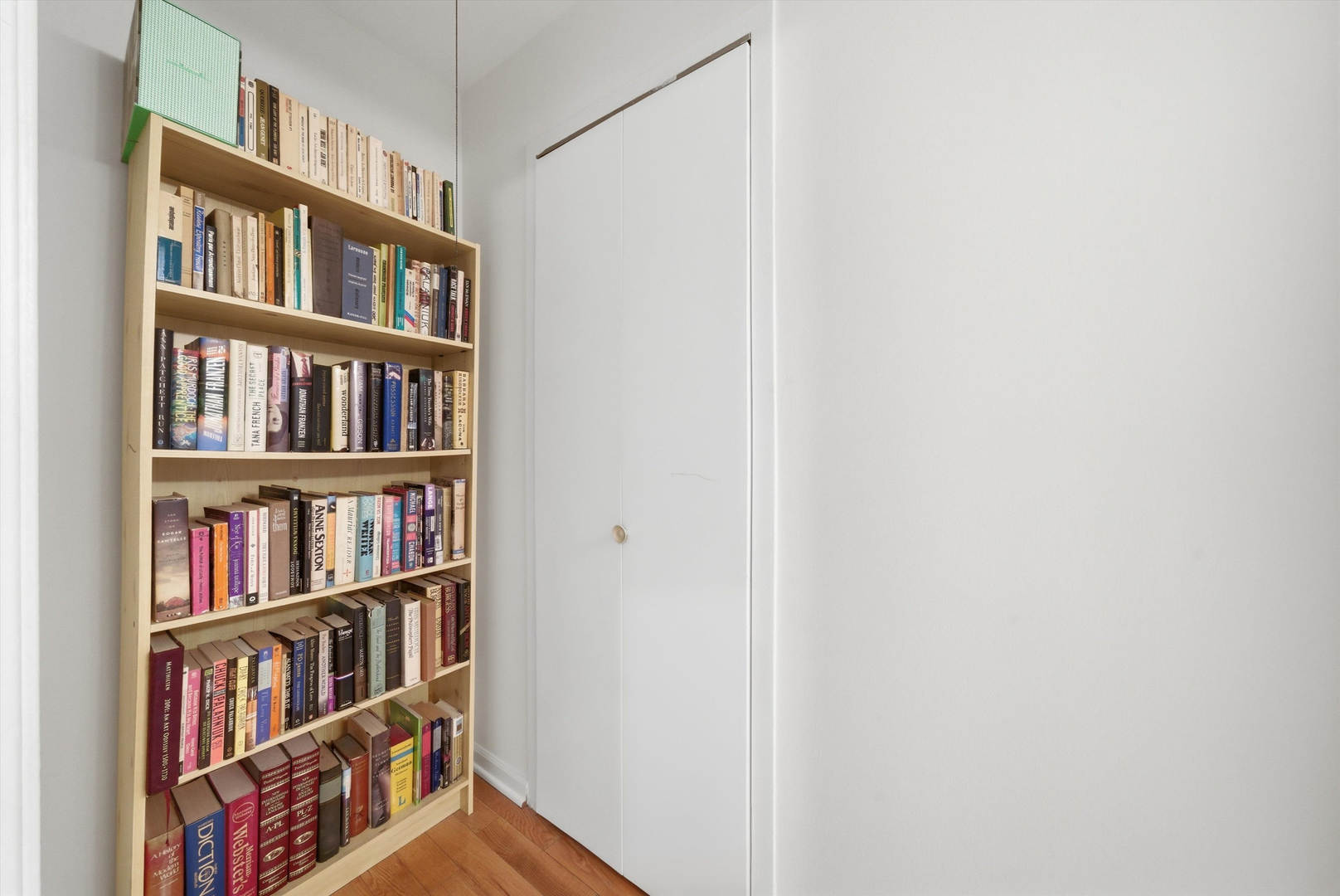 850 North Dewitt Place, Unit 9J Chicago, IL 60611 - Photo 25 of 32