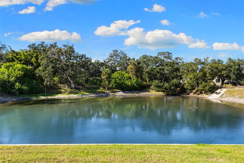 948 Virginia Street, Unit 101 Dunedin, FL 34698 - Photo 25 of 31