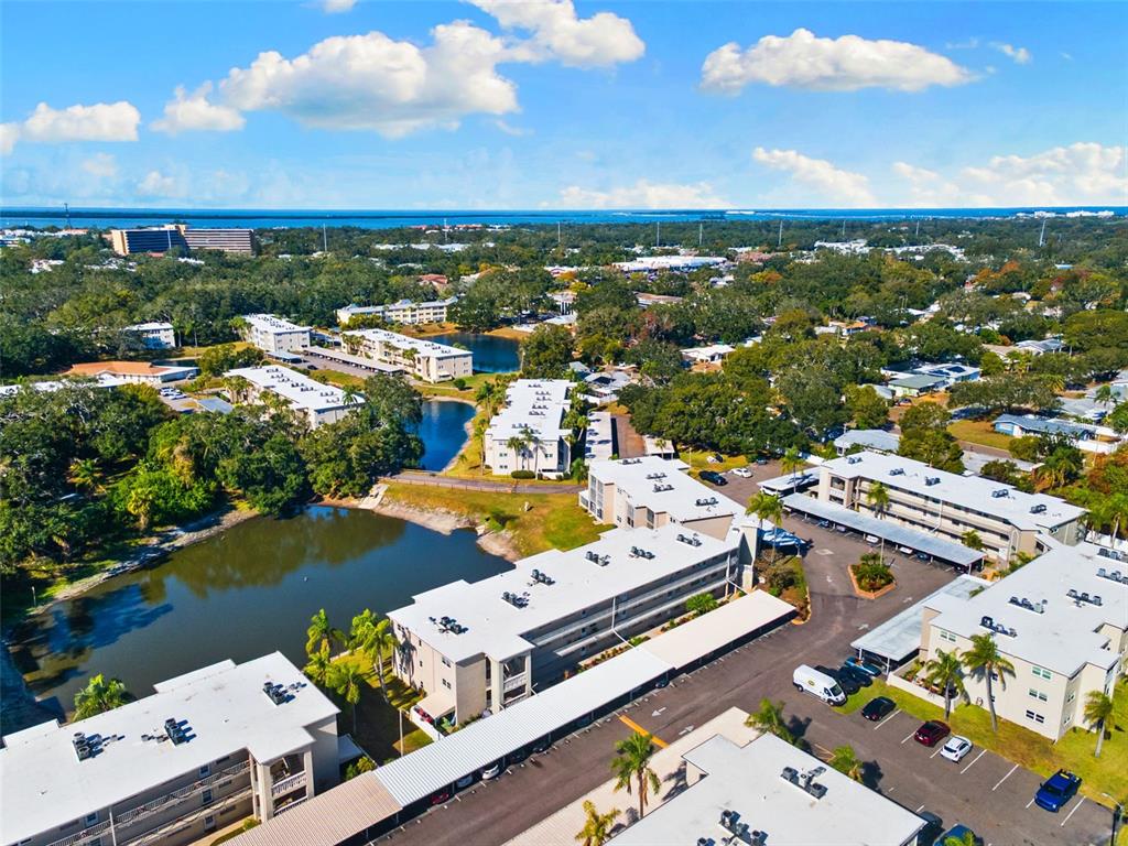 948 Virginia Street, Unit 101 Dunedin, FL 34698 - Photo 29 of 31